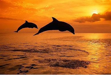 《死亡岛2》前开发者谈2014年版本内幕 开发方向的重要性