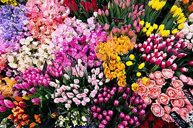 《真・三国无双 起源》武将＆战斗＆武器官方最新资讯！